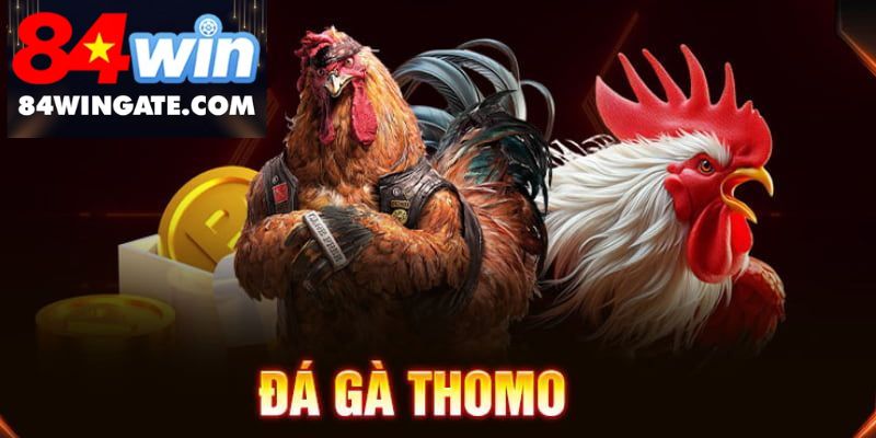 đá gà thomo