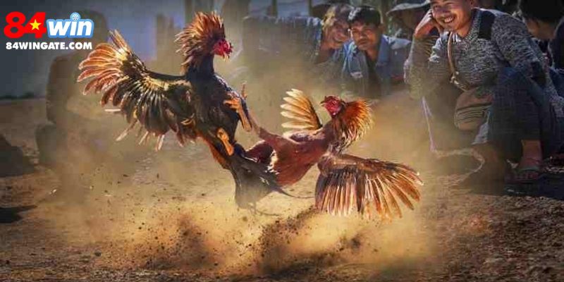 Chiến thuật giúp bạn tăng tỉ lệ chiến thắng lên cao